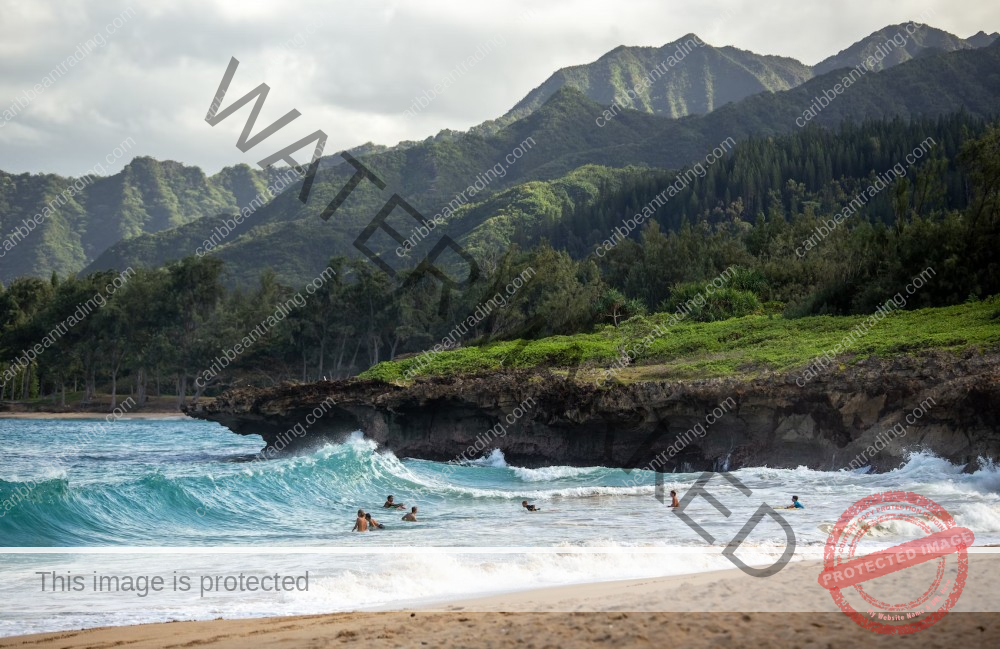 puerto rico vs hawaii