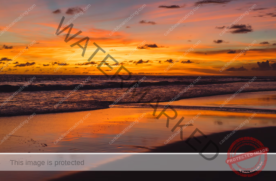 sunset tours in puerto rico