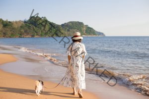 Travelling with your Dog