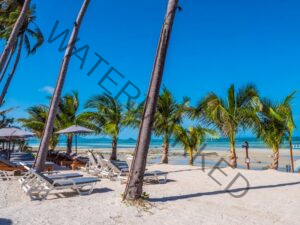 mexico vs puerto rico