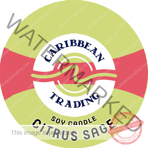 tropical-soy-candles