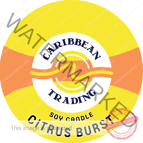 tropical-soy-candles