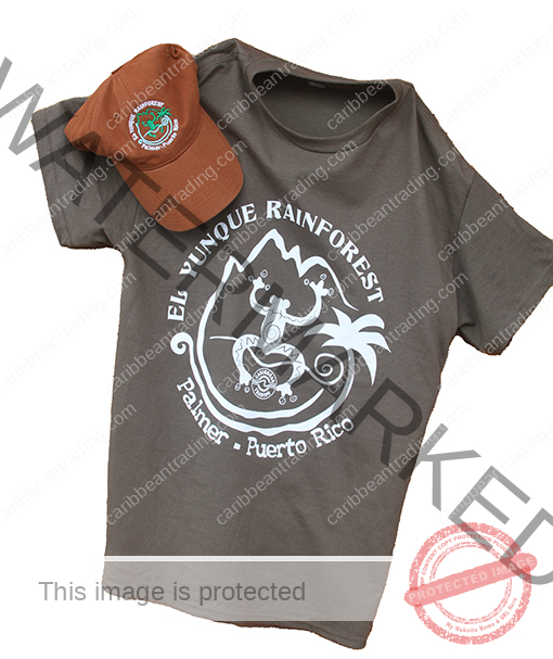 El Yunque Rainforest