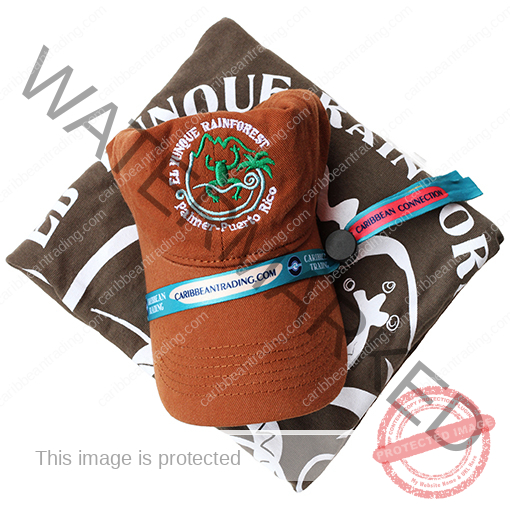 El Yunque Rainforest