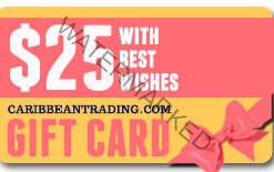 25 dollar gift card