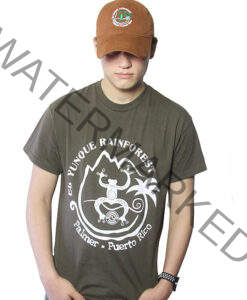 El Yunque Rainforest