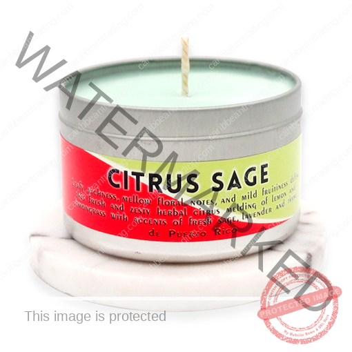 soy-candle-citrus-sage
