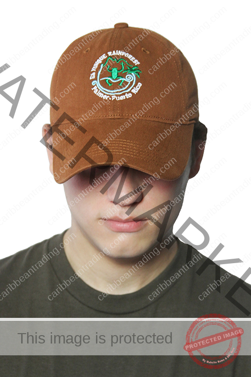 El Yunque Rainforest