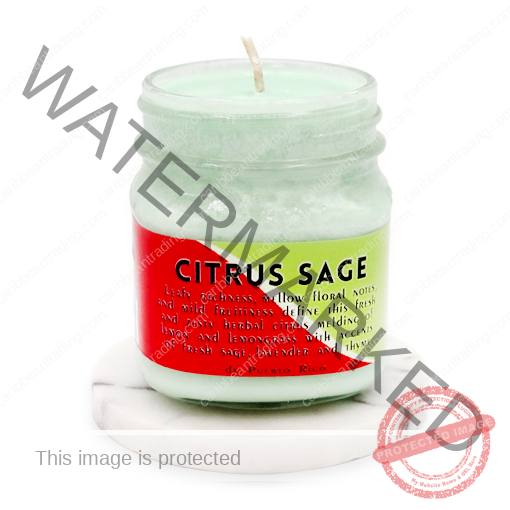 soy-candle-citrus-sage