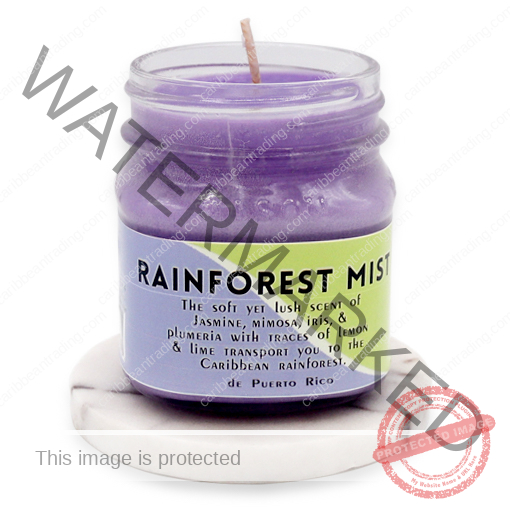 soy-candle-rainforest-mist