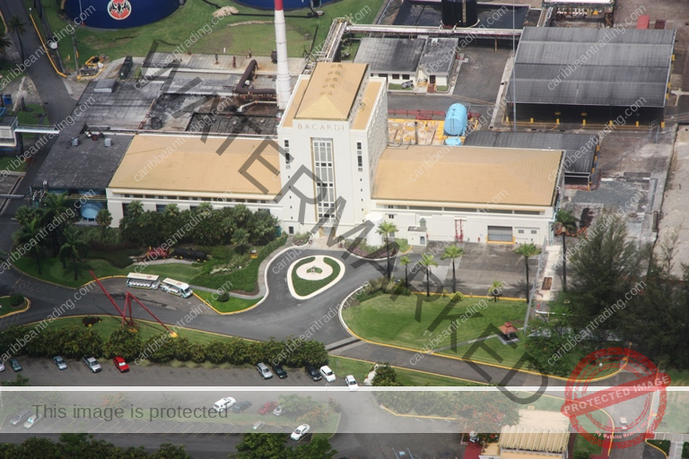 bacardi puerto rico