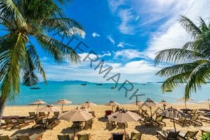 Best Time to Visit Puerto Rico Next Holiday