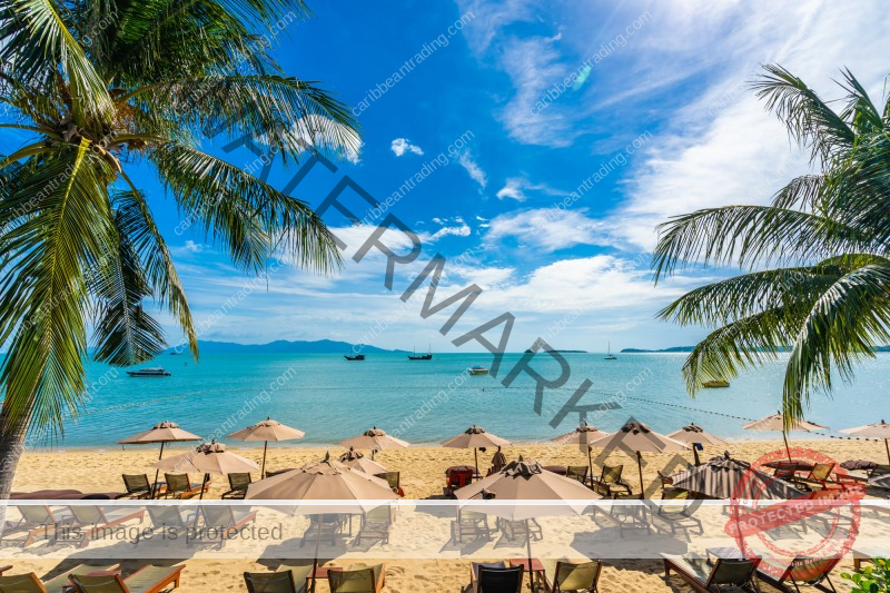 Best Time to Visit Puerto Rico Next Holiday