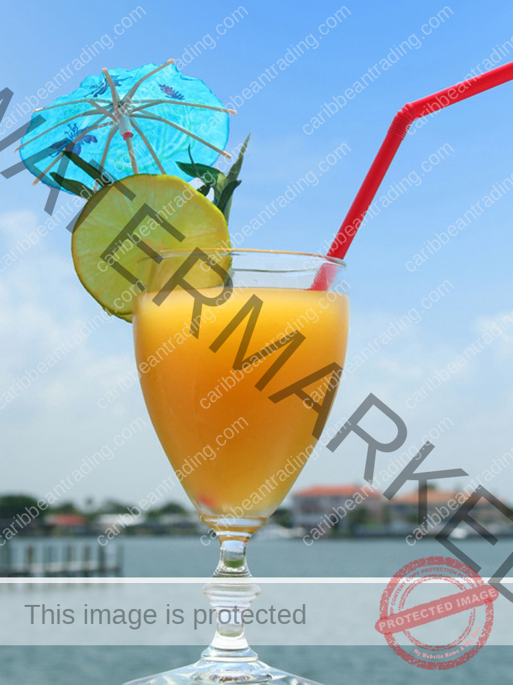 frozen rum drink