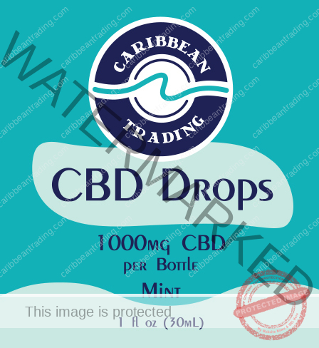 CBD TINCTURE DROPS WITH HEMPSEED-1000-mg-cbd