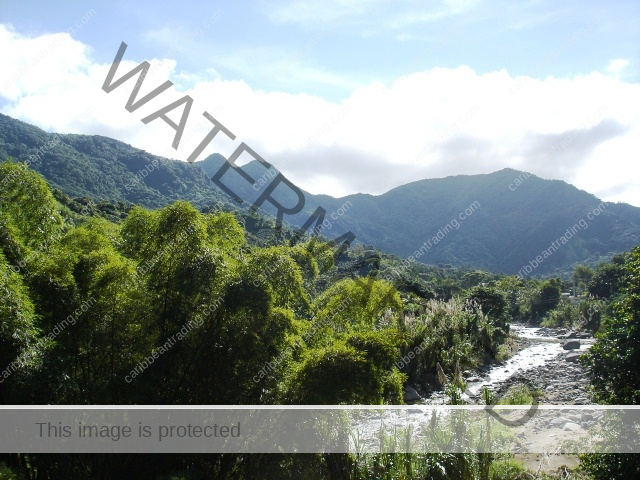 cordillera central puerto rico