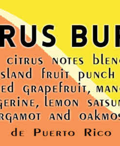 soy-candle-citrus-burst