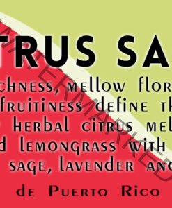 soy-candle-citrus-sage