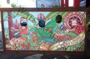 Caribbean Trading El Yunque National Forest