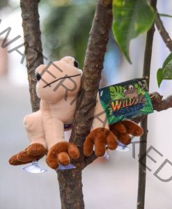 coqui stuffed animal