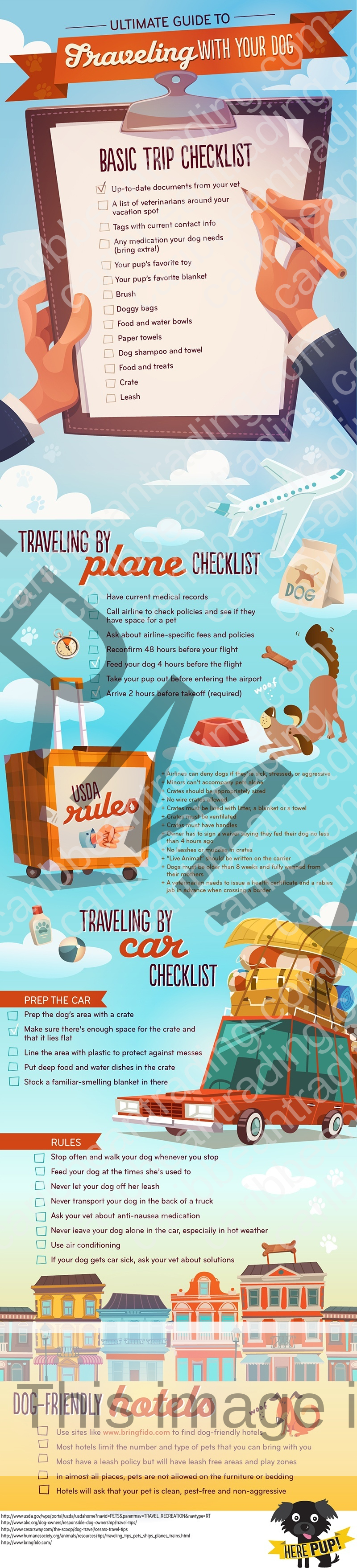 travel woth your dog