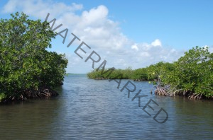 humacao reserve humacao puerto rico