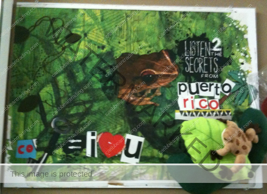 puerto rico school project