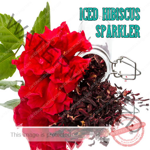Hibiscus Iced Tea Recipe