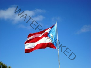 Puerto Rico Travel Expert