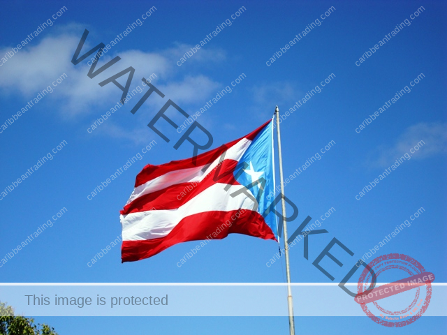 Puerto Rico Travel Expert
