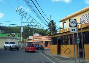 businesses in el yunque