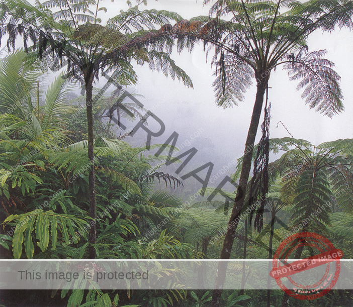 Puerto Rico Geography Facts