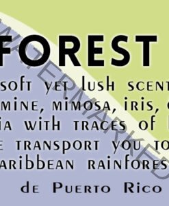 soy-candle-rainforest-mist