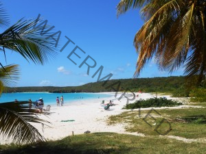 Vieques Beaches