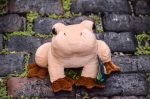 coqui frog stuffed animal