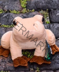 coqui frog stuffed animal