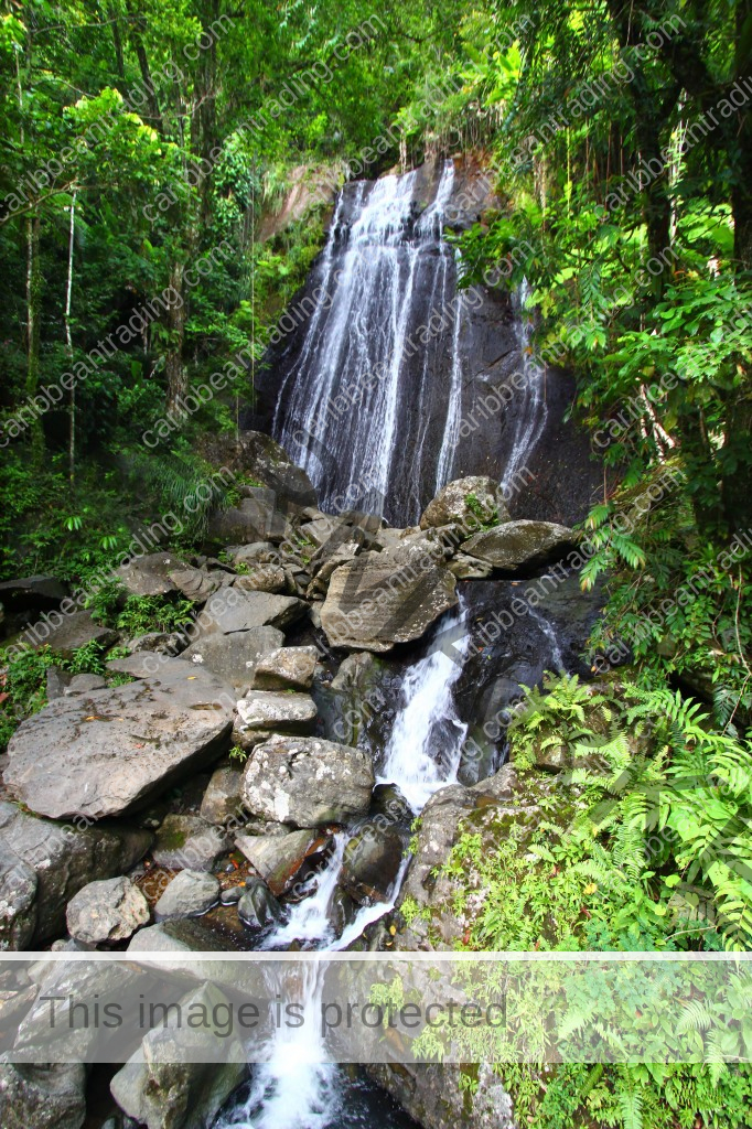 Rio Grande Puerto Rico
