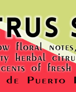 soy-candle-citrus-sage