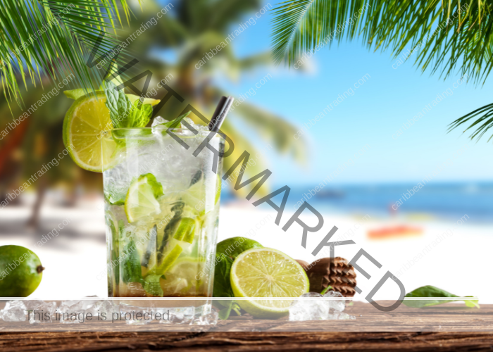 Staying in Shape While on Vacation. Is it Possible