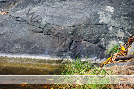 taino petroglyphs