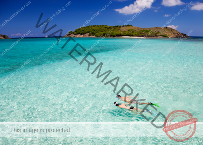 Tips for Creating Impactful Caribbean Reports