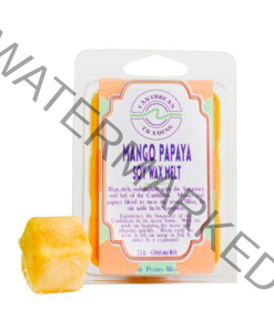 Mango Papaya Soy Wax Melt