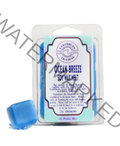 Ocean Breeze Soy Wax Melt