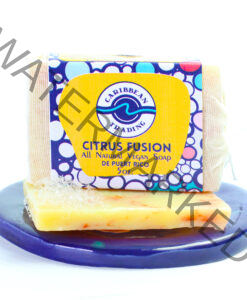 Citrus Fusion Handmade All Natural Vegan Aloe Soap