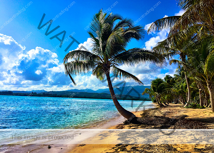 Weather in Puerto Rico. What to do in each season