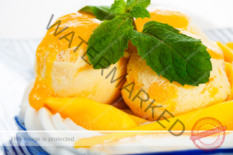 mango sorbet recipe