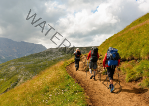 caribbean excursions