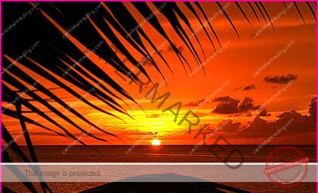 caribbean_sunset3
