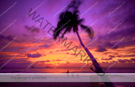 caribbean_sunset6