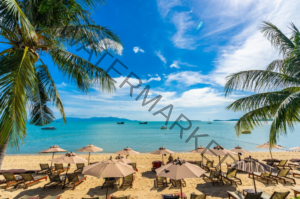 cayman islands vs puerto rico